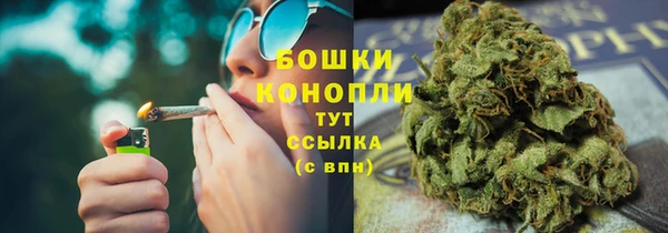 гидра Надым