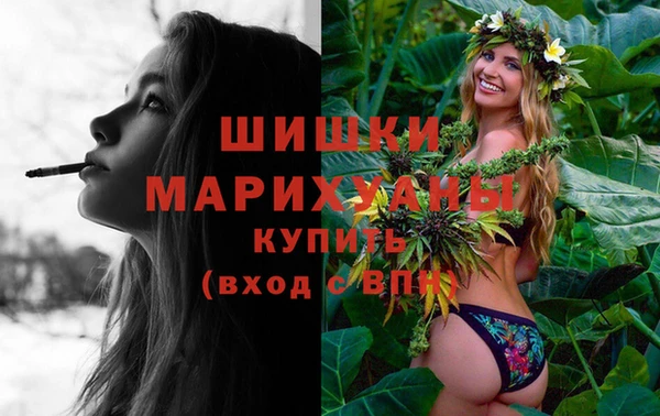 СК Арсеньев