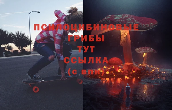СК Арсеньев