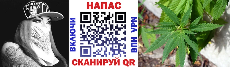 Шишки марихуана VHQ  магазин  наркотиков  гидра ТОР  Ивангород 